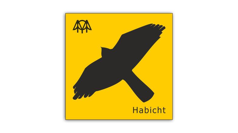Habicht