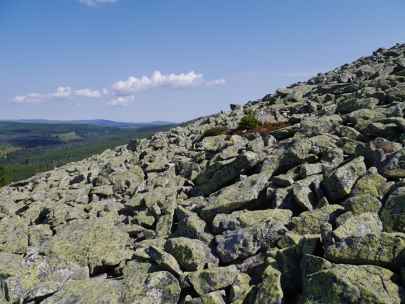 Blockmeer auf dem Lusengipfel