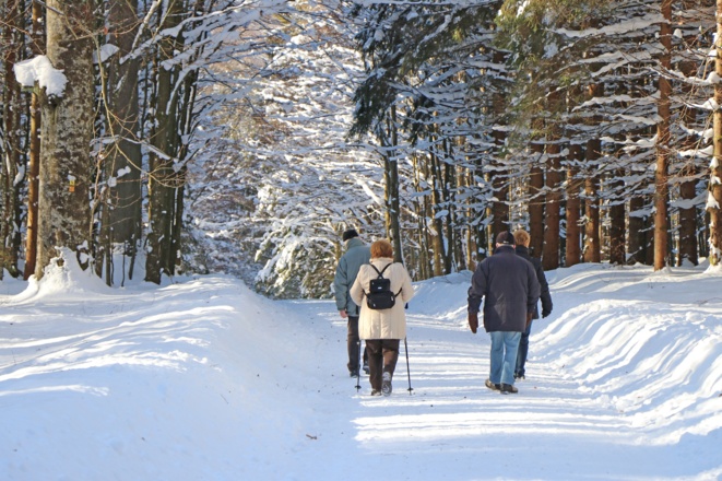 Winterwandern