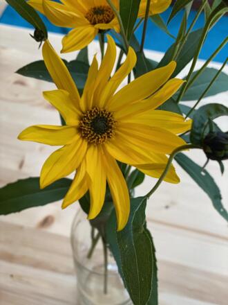 31F992B3-8F97-4D78-89FF-6A28C0D3AACE