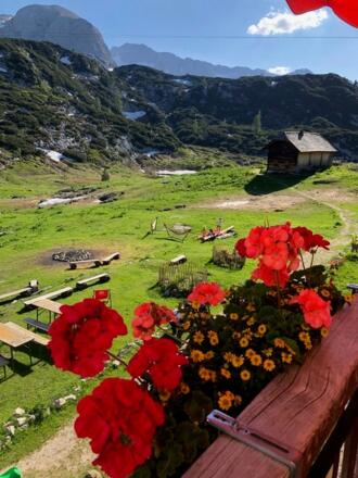 Gjaid Alm
