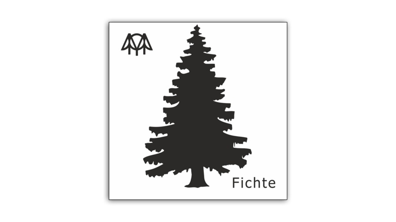 Fichte