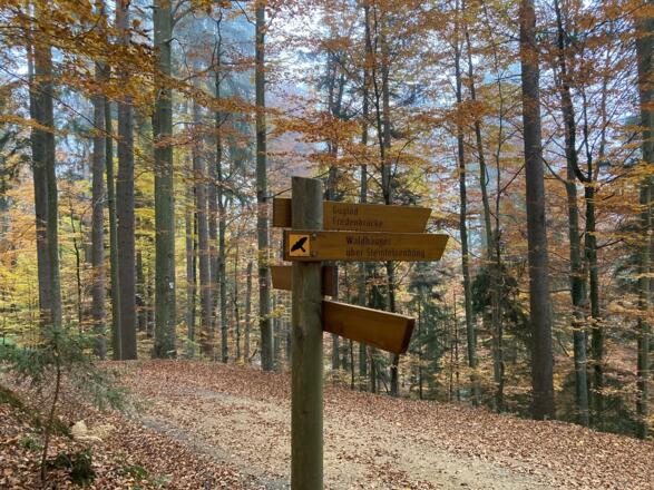 Wanderweg Habicht bei Waldhäuser