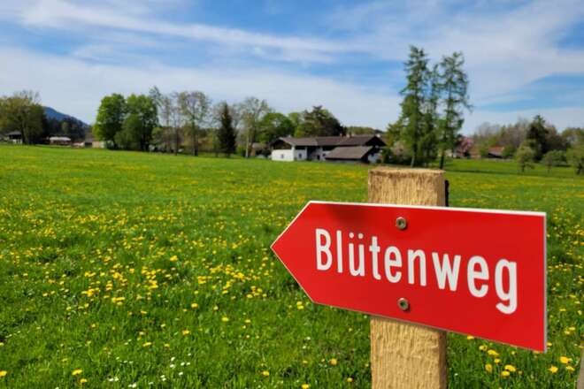 Blütenweg bei Altofing
