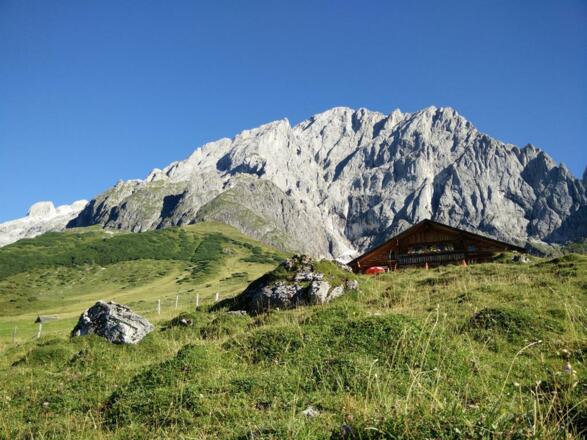 Molteraualm mit Almwiese und Hochkönig