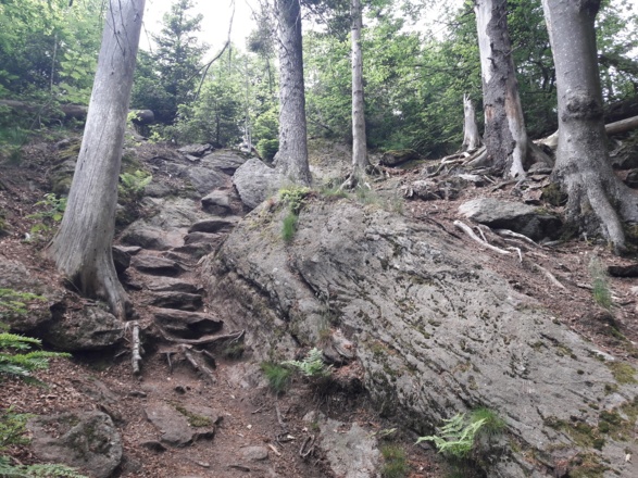 Schlussanstieg zum Klosterstein