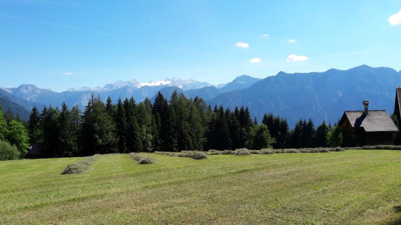 Panorama