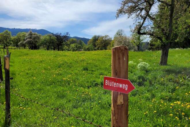 Bütenweg Bad Feilnbach große Tour