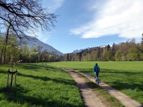 Stille Feldwege im Grenzbereich mit Blick auf das Lattengebirge.