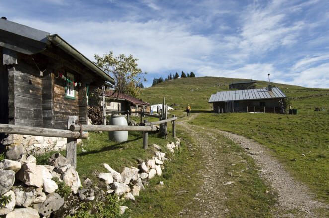 Laubensteinalm und Laubenstein