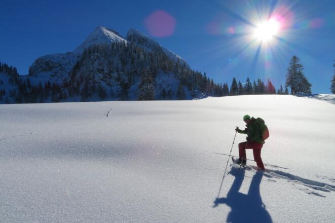 Schneeschuh-Wandern,
