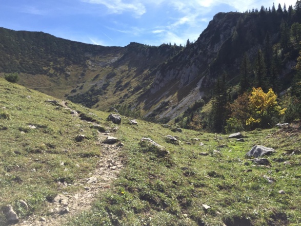 Weg zur Alm