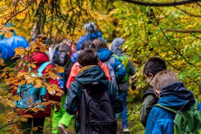 Kindergeburtstag auf Gut Grasleiten