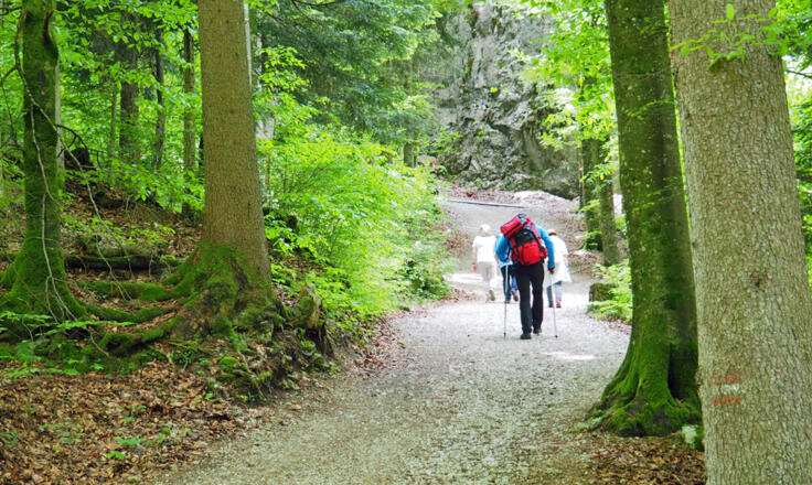 Aufstieg auf den Falkenstein.