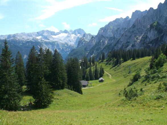 Dachsteinblick von der Zwieselalm
