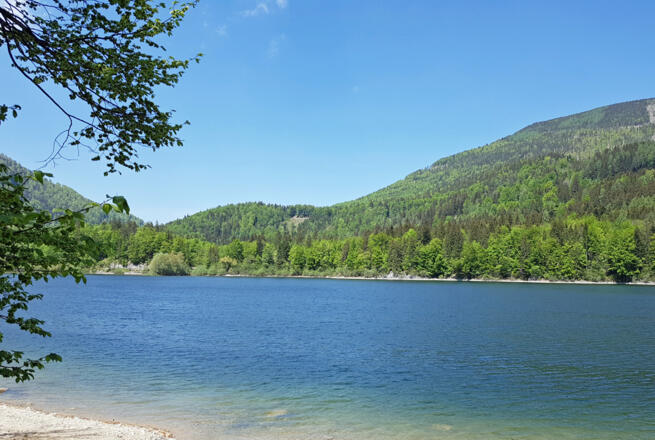 Schwarzensee