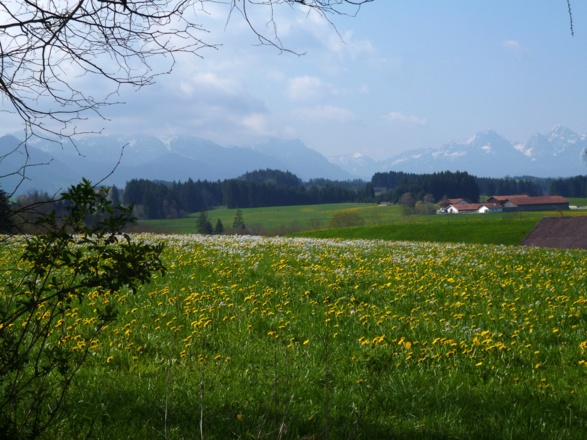 Am Wegkreuz eröffnet sich ein grandioser Blick auf die Alpenkette.
