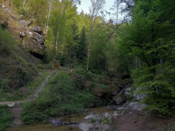 Wolfsschlucht unterer Eingang