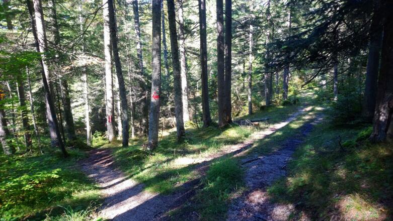 der rote Pfeil führt uns nach links