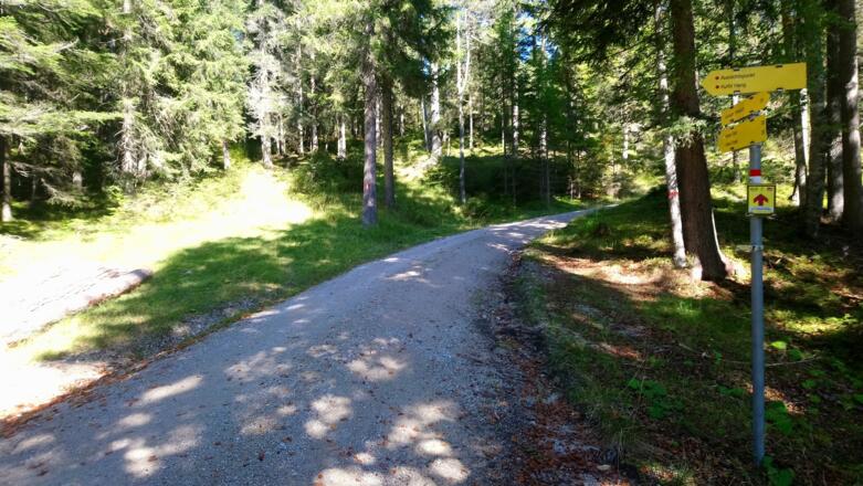 Abzweigung zur Aussichtsplattform Kurbel Hang