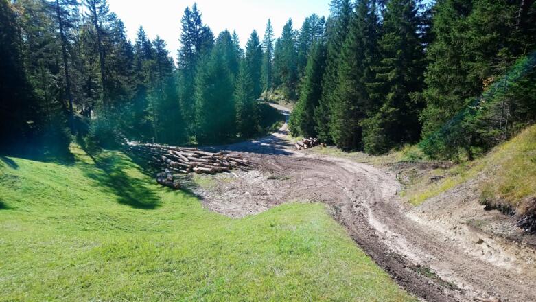 die Forststraße ist wieder erreicht