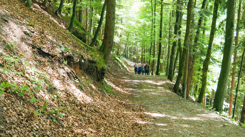 Abstieg vom Falkenstein Richtung St. Wolfgang.