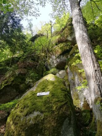 Wolfsschlucht Herkulesfels