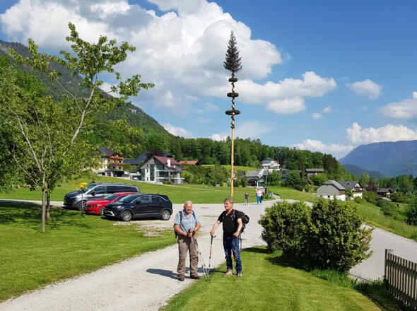 Der Maibaum in der Ortschaft Ried.