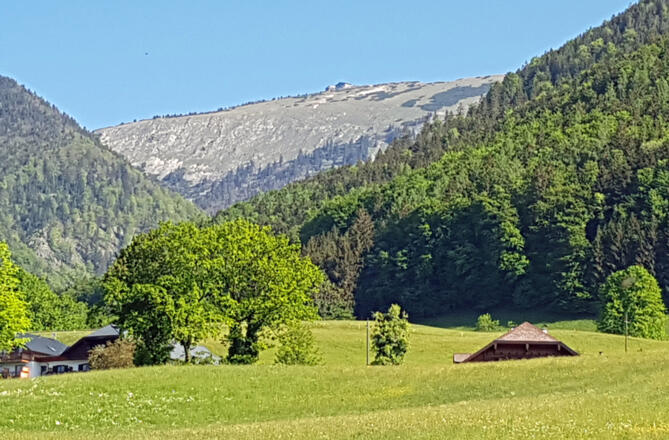 Blick zum Schafberg.