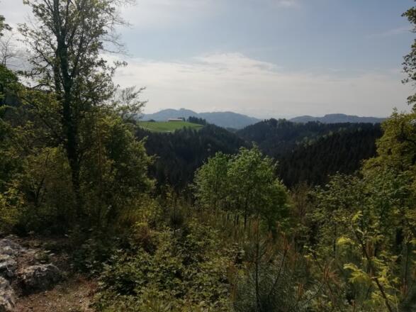 Wolfsschlucht oberer Ausstieg