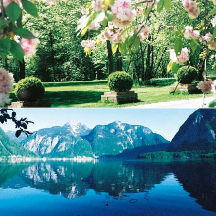 Camping am Hallstättersee