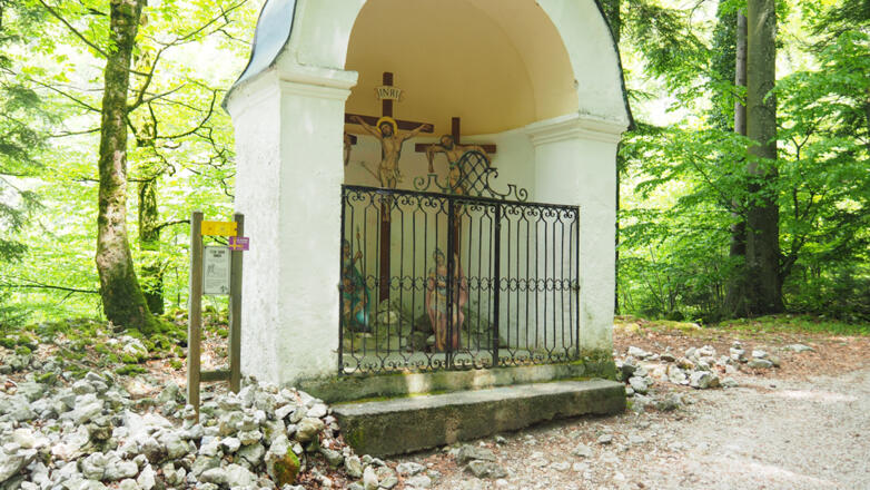 Am Weg zum Falkenstein.