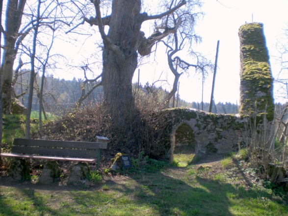 Klosterruine "Zum Heiligen Baum" in Arzlohe