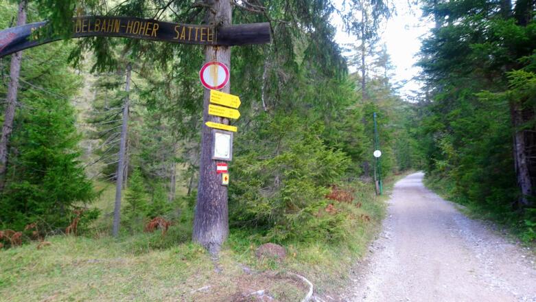 Start entlang der Forststraße zum Hohen Sattel