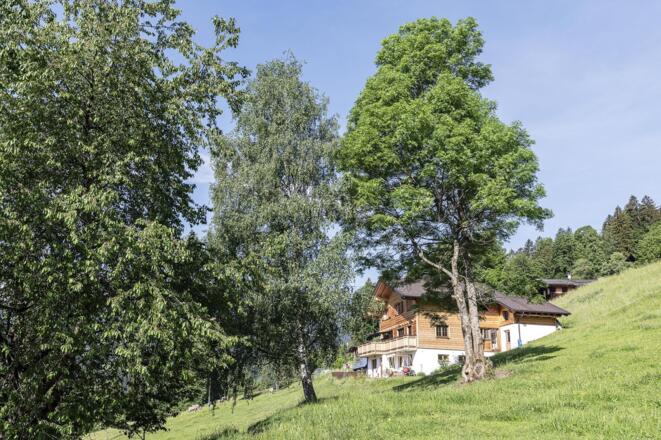 Hausansicht Sommer 1