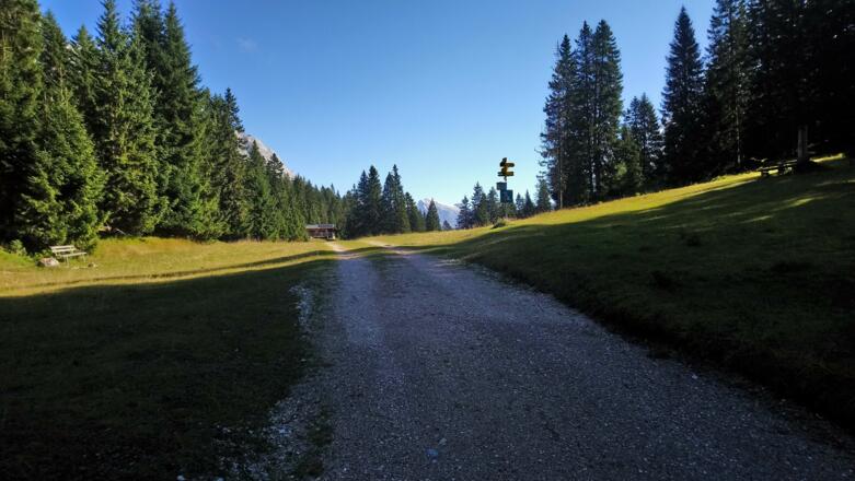 Am Hohen Sattel, beim Schilderbaum geht es nach rechts
