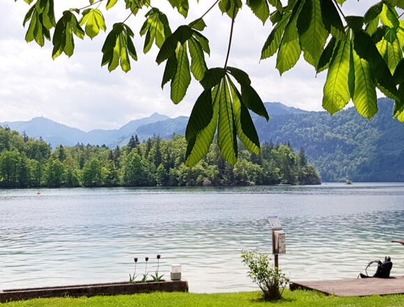 Am Wolfgangsee in Fürberg.