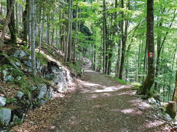 Abstieg zum Schwarzensee.