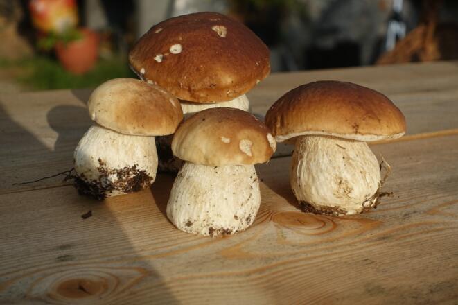 Wie aus dem Märchenbuch...