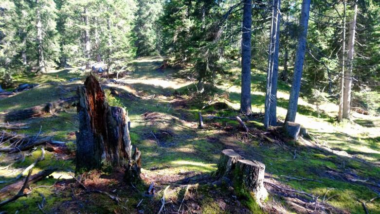 Weglos unschwierig zum höchsten Punkt