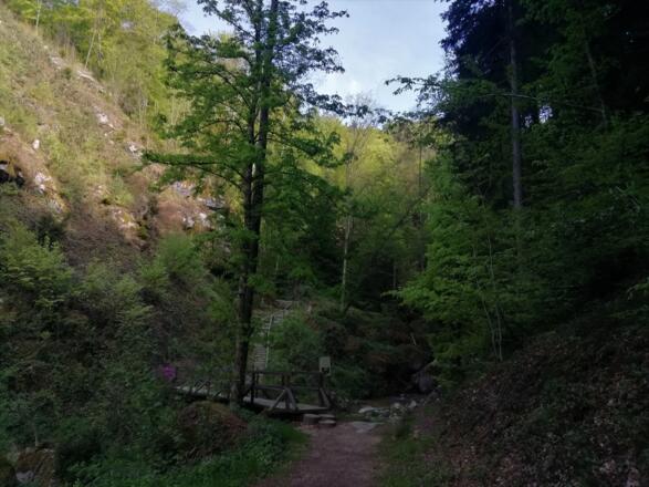 Wolfsschlucht unterer Eingang