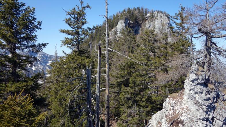Vorgipfel 1110m mit Brennet, ist noch verdeckt