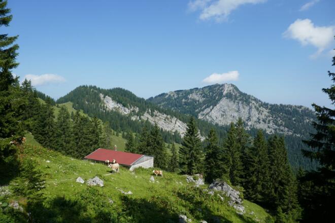 Blick über die Elbachalm in Richtung Breitenstein