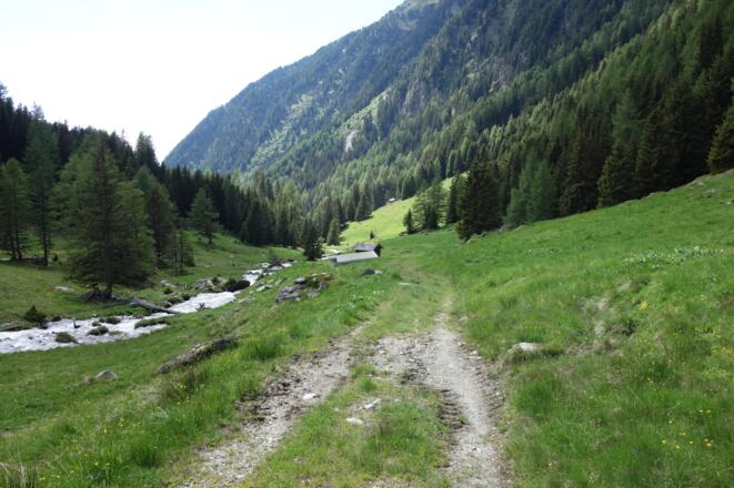 entlang der rechten Bachseite über herrliche Almböden
