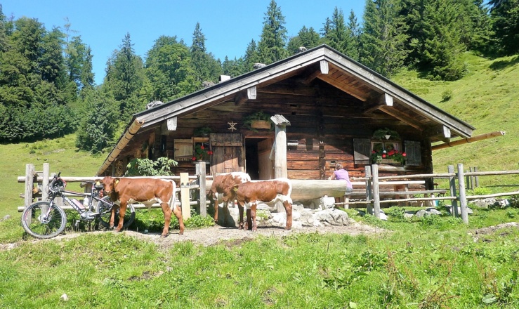 Sellarnalm