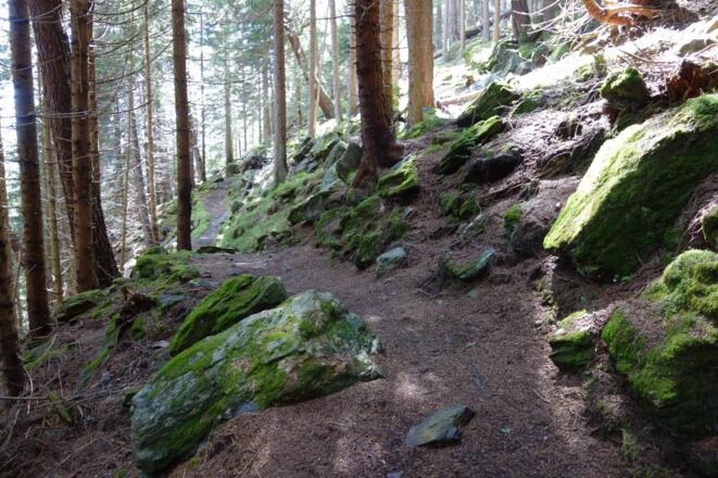 in leichtem Auf und ab dem Steilen Südhang des Patscherkofel entlang