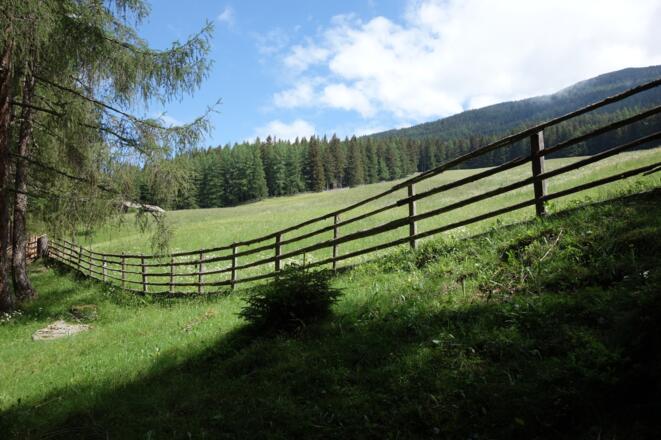 am unteren Wiesenrand nach links