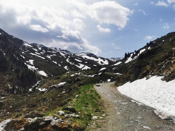 die letzte Steigung vor der Steinkasernalm