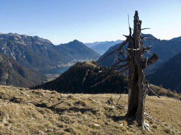 Beim Abstieg vom Gütenberg sieht man zum zweiten Gipfelziel, dem Feilkopf.