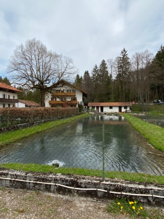 Einer der Fischteiche des Forellenhofs Walgerfranz